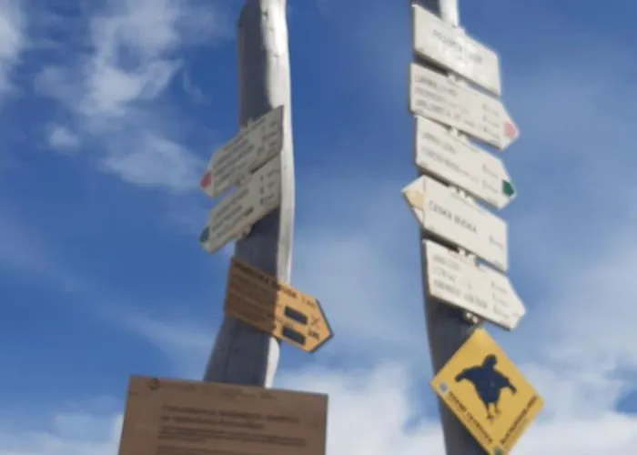 Konukevi Orzechowka 3*