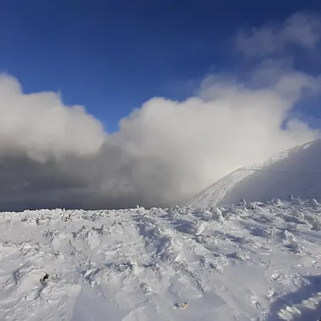 Guest house Orzechowka