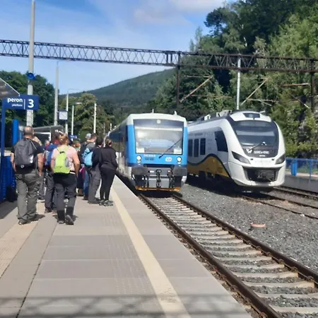 Guest house Orzechowka 3*