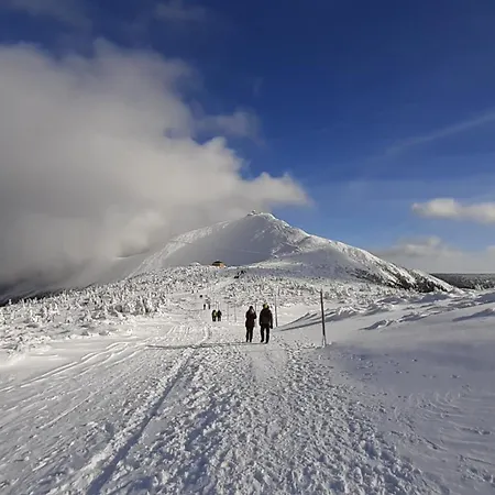 Guest house Orzechowka