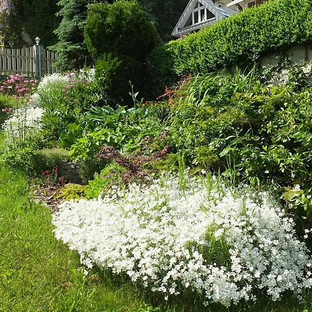 Guest house Orzechowka 3*