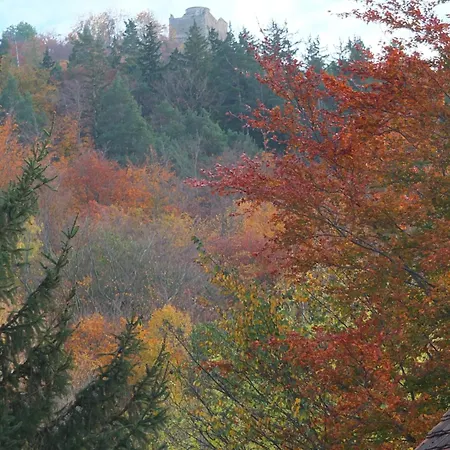 Orzechowka Guest house