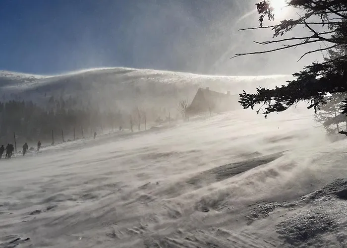 Гостевой дом Orzechowka