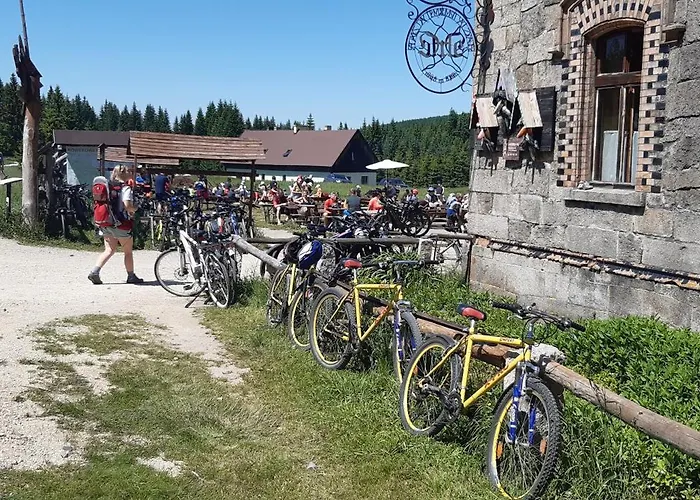 Гостевой дом Orzechowka 3*