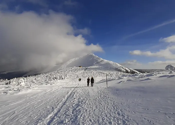 Гостевой дом Orzechowka
