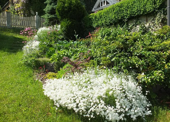 Гостевой дом Orzechowka 3*